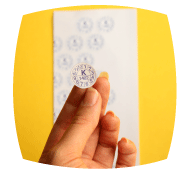 لیبل گچی (خردشونده)